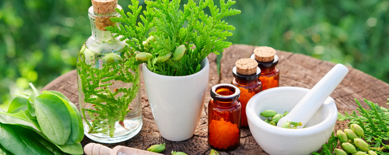 formations naturopathie reconnues